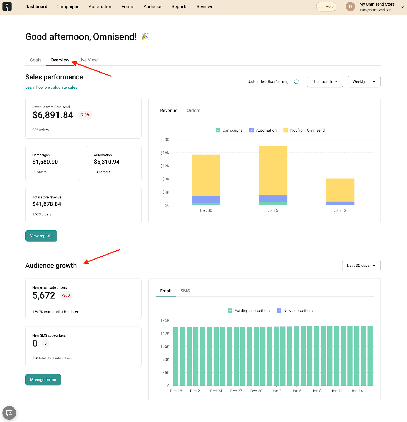 Email marketing dashboard showing sales performance and audience growth from signup forms