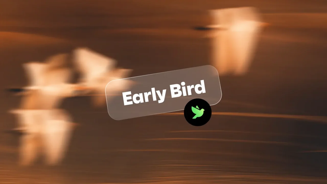 Early Bird Black Friday: Timing and 9 Campaign Ideas