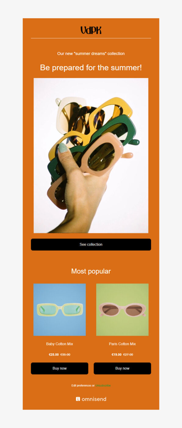Fashion accessories newsletter template